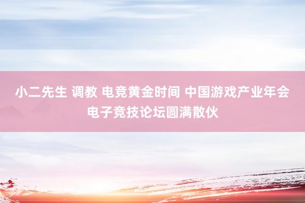 小二先生 调教 电竞黄金时间 中国游戏产业年会电子竞技论坛圆满散伙