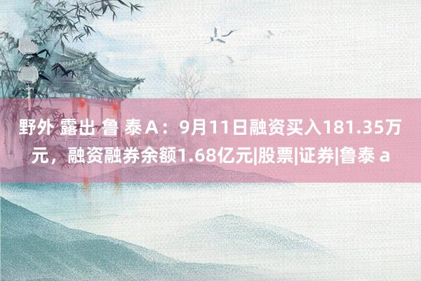 野外 露出 鲁 泰Ａ：9月11日融资买入181.35万元，融资融券余额1.68亿元|股票|证券|鲁泰ａ