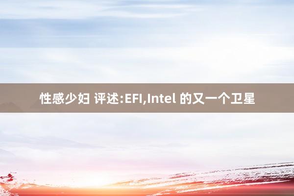 性感少妇 评述:EFI,Intel 的又一个卫星