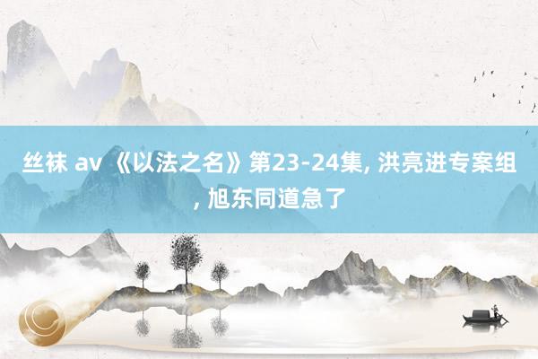 丝袜 av 《以法之名》第23-24集, 洪亮进专案组, 旭东同道急了